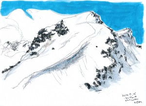 コルバッチのムルテル のコピー