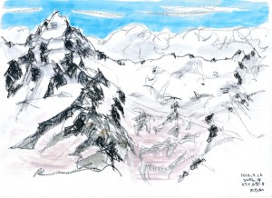 ｺﾙﾊﾞﾁのロゼッタ のコピー