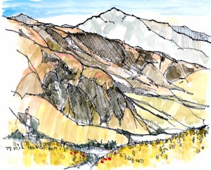 薬師望む 1 のコピー