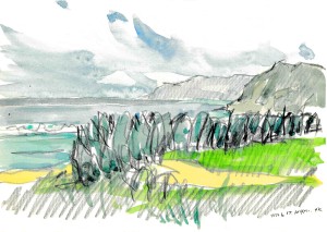 奄美_20150608_0001 のコピー