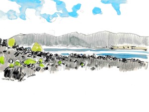 桜島開聞_20150512_0001 のコピー