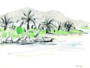 やしの木_20150512_0001 のコピー