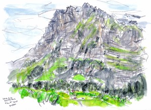 713グリンヴェタ－ のコピー